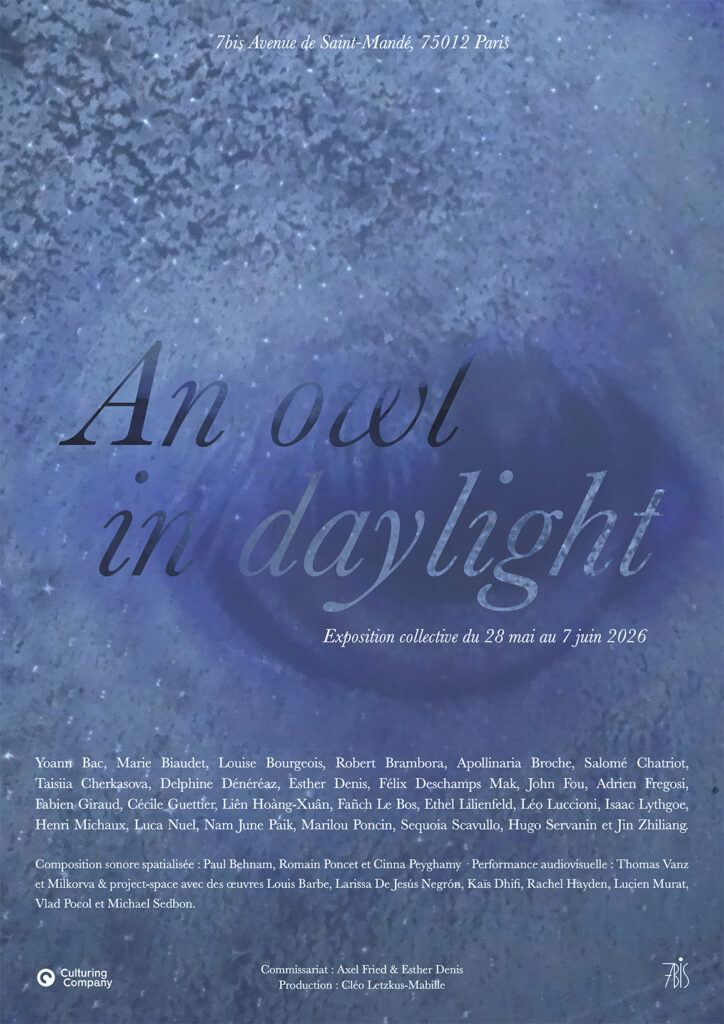 affiche an owl in daylight affiche an owl in daylight